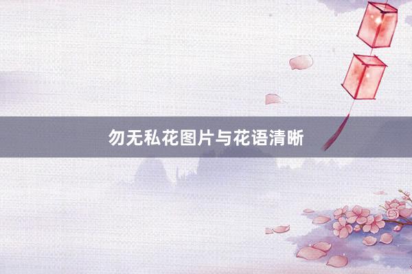 勿无私花图片与花语清晰