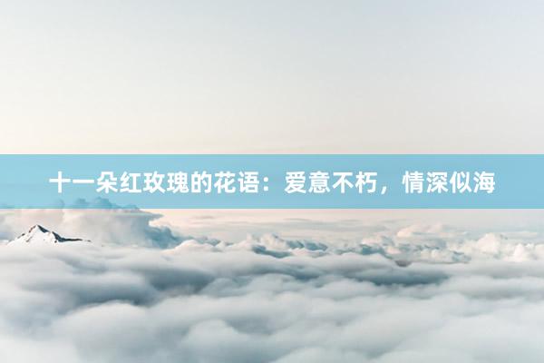 十一朵红玫瑰的花语：爱意不朽，情深似海