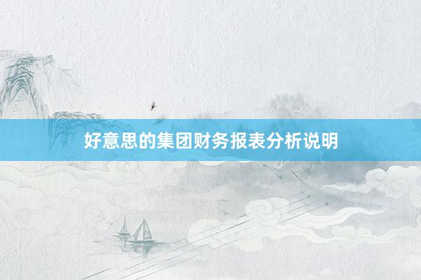 好意思的集团财务报表分析说明
